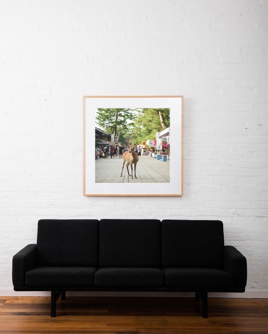 Photo of a deer in street in Urban Japan framed in black timber on white wall above sofa