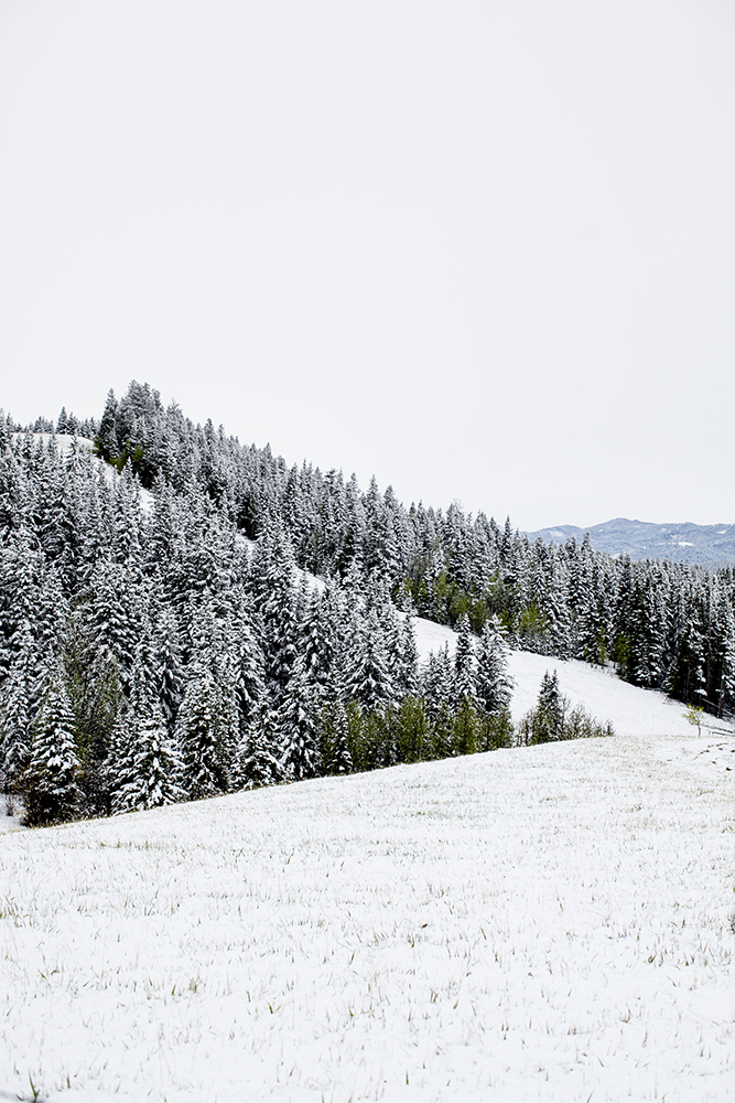 Mountains in Canada photography print