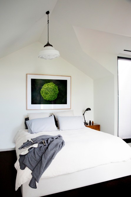 A areial photographic print of the top of a green tree with dark background taken by Elizabeth Bull on bedroom wall