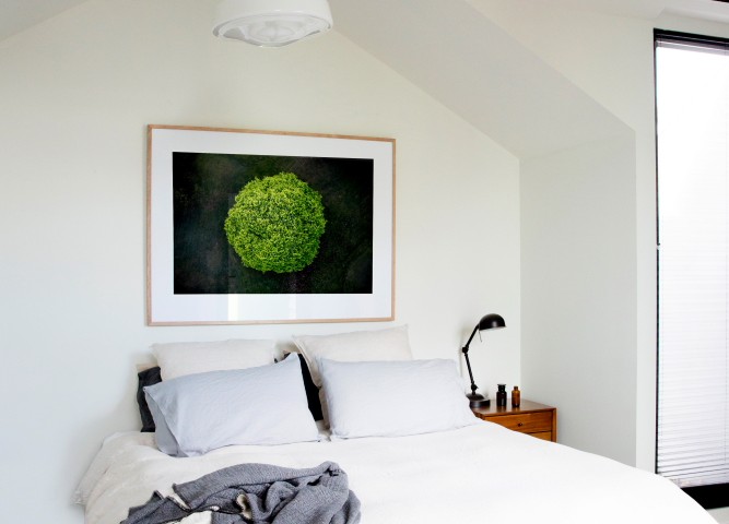 A areial photographic print of the top of a green tree with dark background taken by Elizabeth Bull on bedroom wall