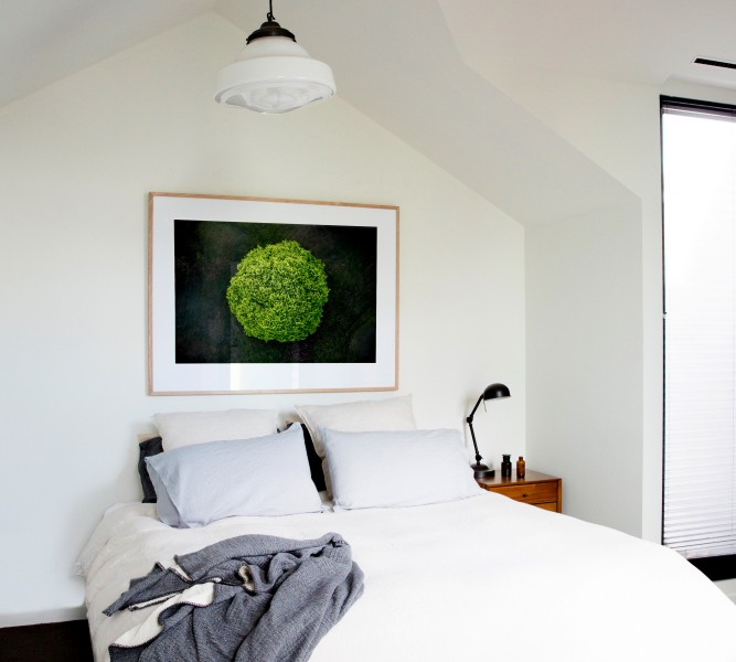 A areial photographic print of the top of a green tree with dark background taken by Elizabeth Bull on bedroom wall