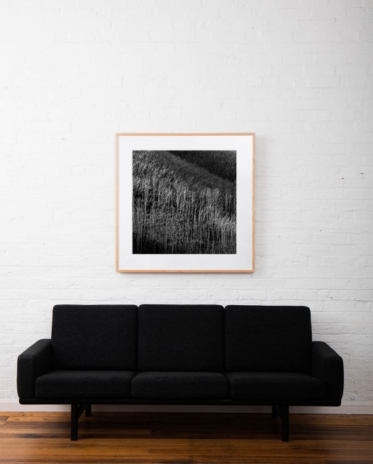 Square Black and white photographic art print of Ausrtalia landscape of trees by Paul Hoelen framed in raw timber on wall above sofa