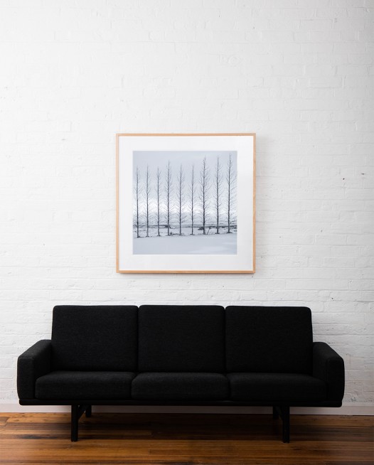 A square photographic art print of Icelandic landscape of snow and trees framed in raw timber on wall above sofa