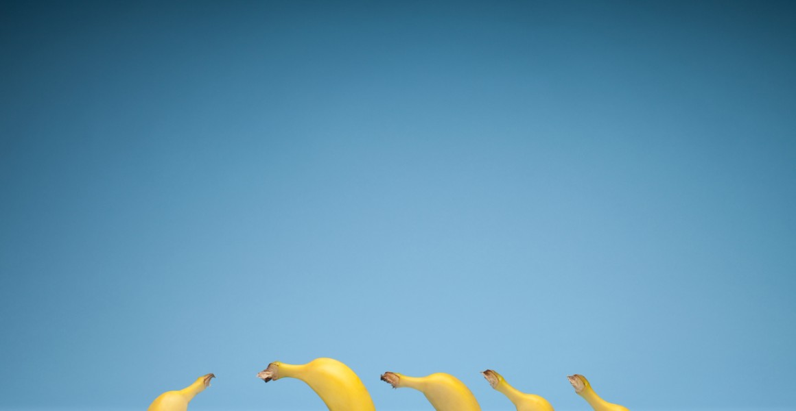 Still life photo of bananas with blue blackground