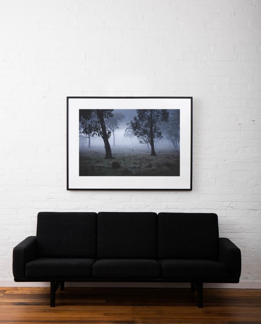 Australian Landscape photograh of trees in a misty/foggy day framed in black timber on white wall above sofa