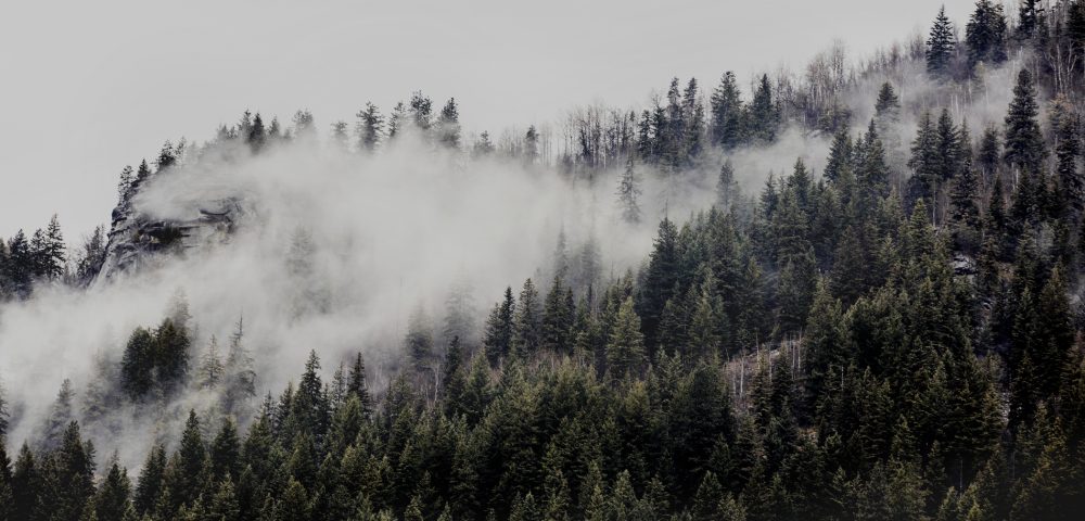 A photographic print of mist and fog over Mountains and trees in Canada