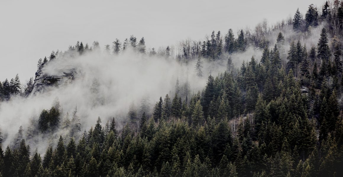 A photographic print of mist and fog over Mountains and trees in Canada