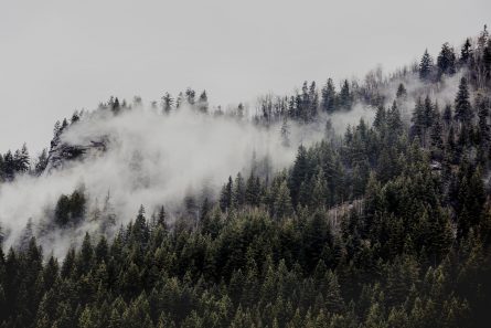 A photographic print of mist and fog over Mountains and trees in Canada