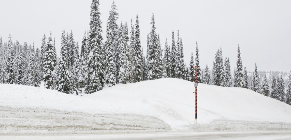 Large Photographic art print of a road with snow lined with trees taken in white Urban Landscape in Canada