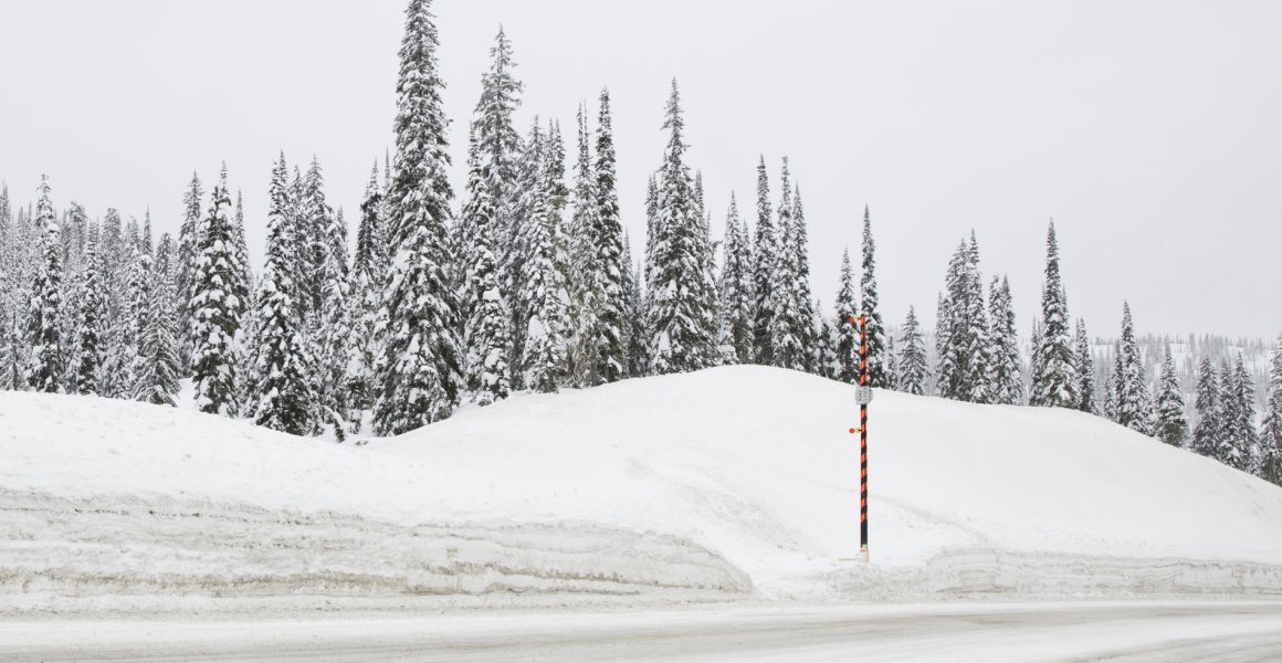 Large Photographic art print of a road with snow lined with trees taken in white Urban Landscape in Canada