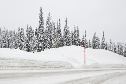 Large Photographic art print of a road with snow lined with trees taken in white Urban Landscape in Canada