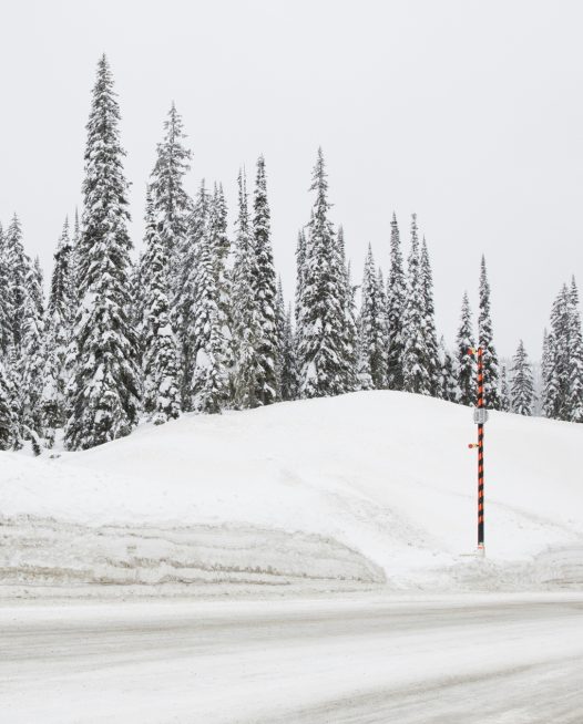 Large Photographic art print of a road with snow lined with trees taken in white Urban Landscape in Canada