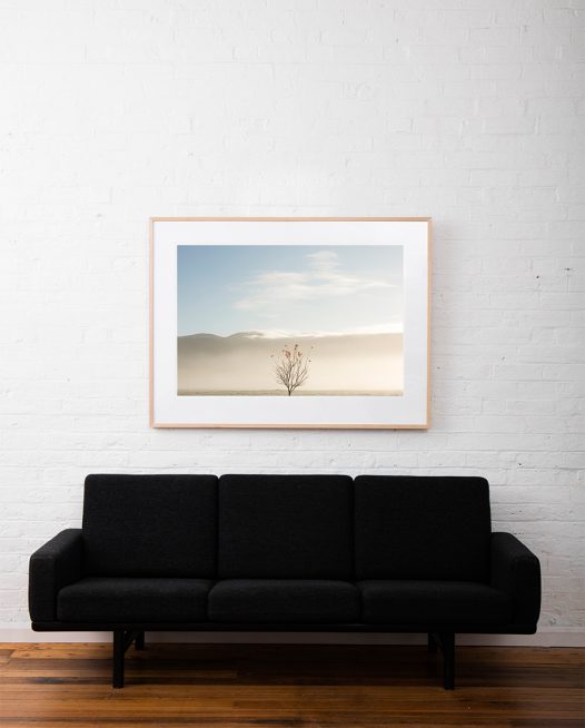 Large Print of The last of Autumn image in blue sky and clouds background by photographer Mark Lobo taken in Australia Landscape framed in raw timber frame on white wall above sofa