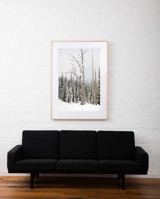 A large vertical Landscape photo taken in North America of snow and trees in shade of green , black and white framed in raw timber on white wall above sofa