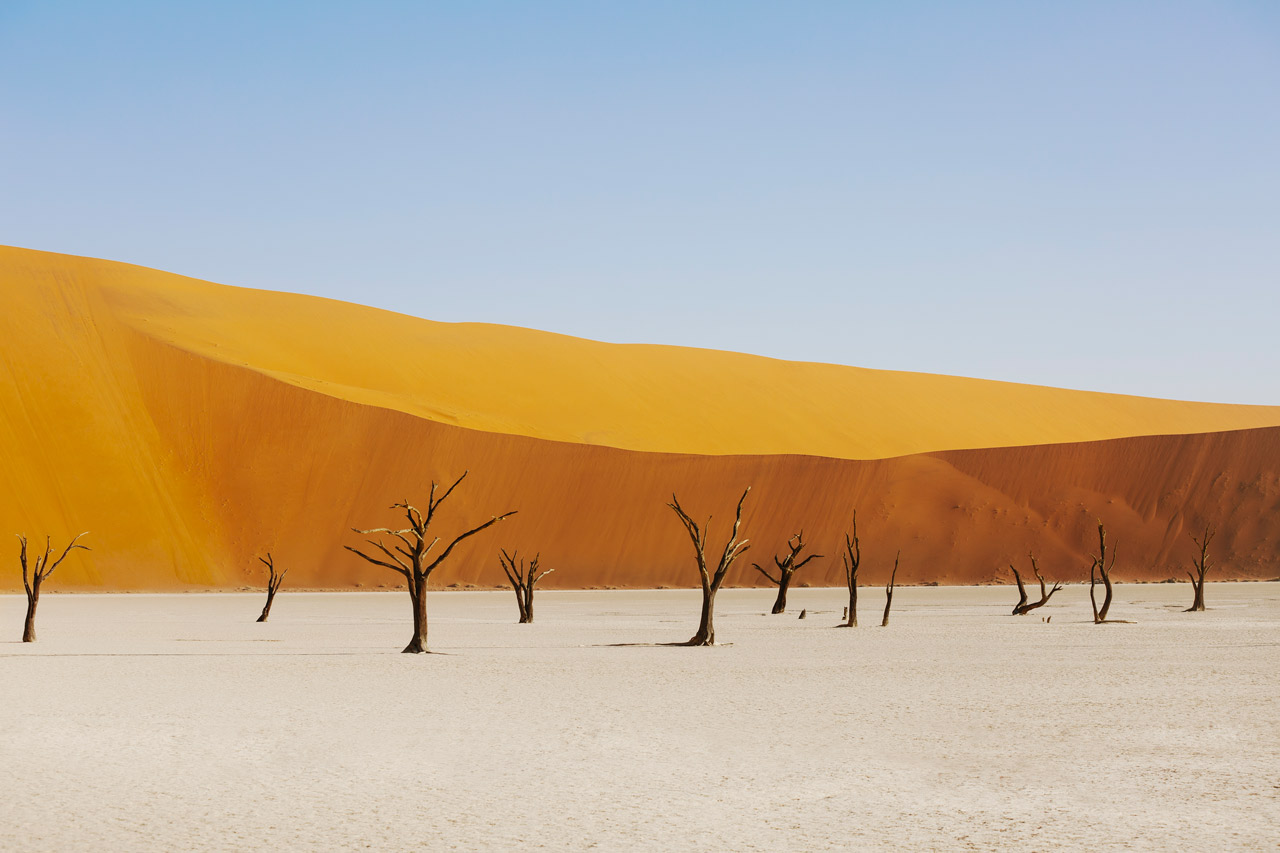 A abstract photo of Africa Landscape in yellow, gol and blue,