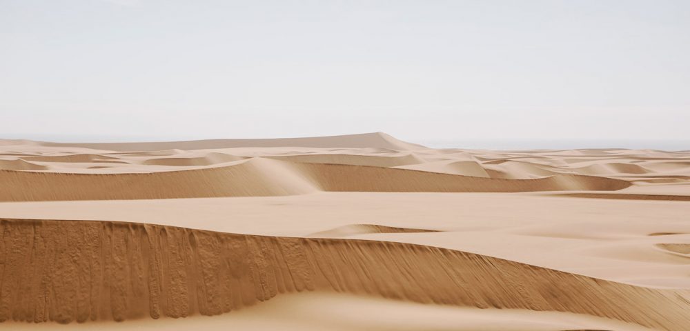 A photograph of Africa desert