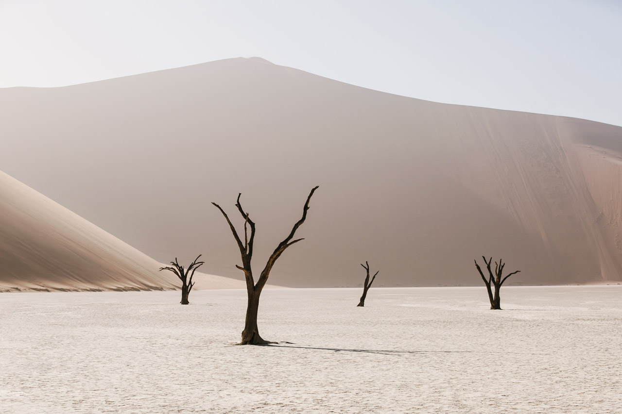 An Abstract photo of African Landscape of mountains, sand and trees in brown, pink and white.