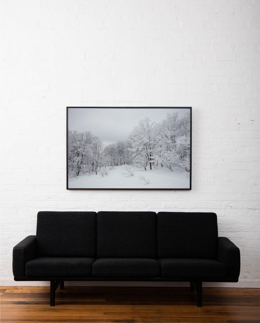 A photographic image of A forest of trees in soft snow framed in black timber above sofa