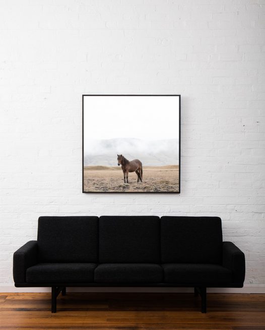 Picture of a horse taken in Iceland framed in black timber above sofa