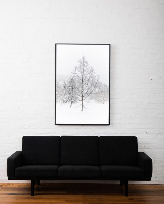 A photographic print of a forest of trees covered in snow framed in black timber above sofa